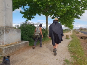 Sahagún - El Burgo Ranero