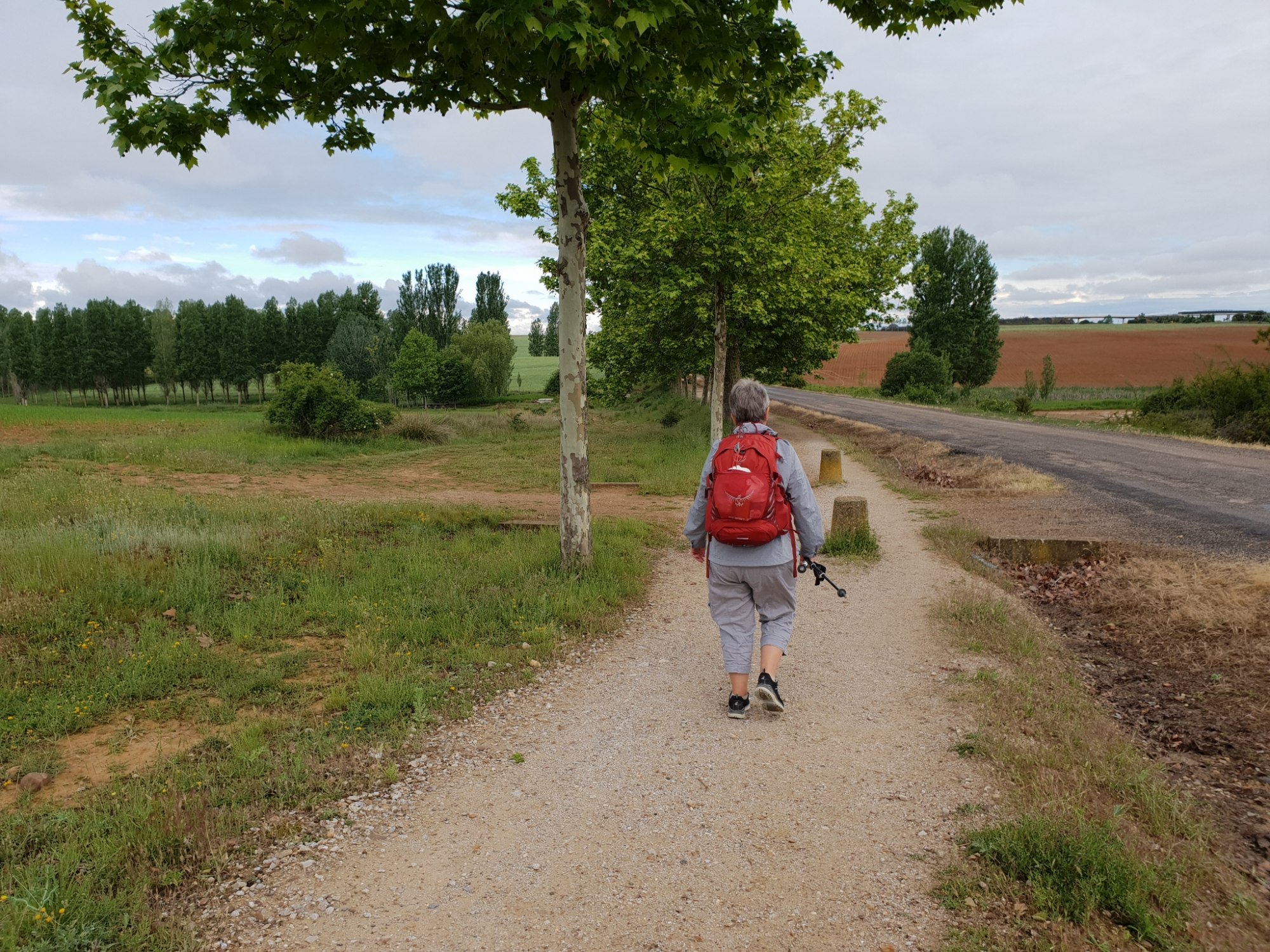 Sahagún - El Burgo Ranero