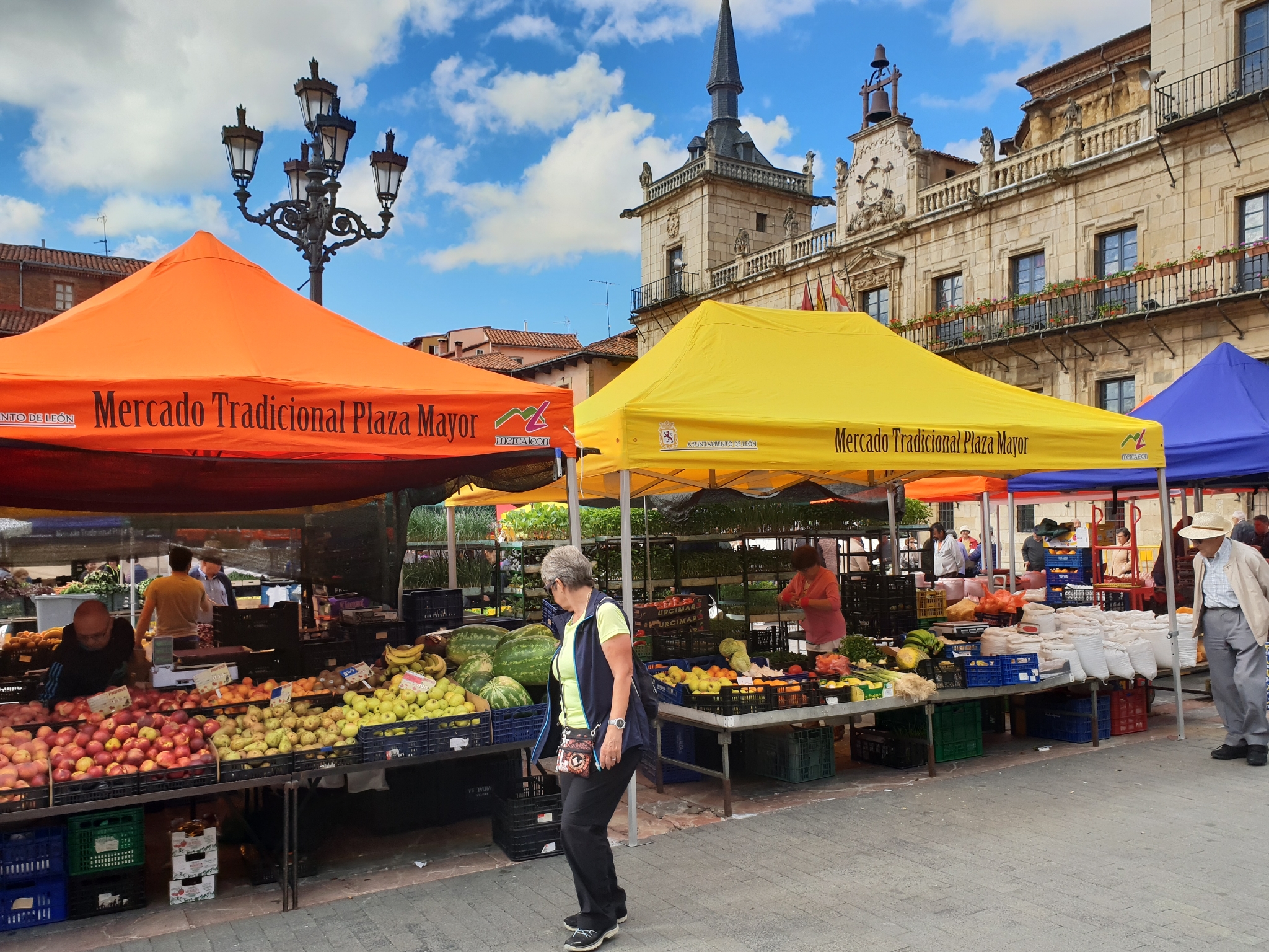 Mercado Plaza Mayor Léon