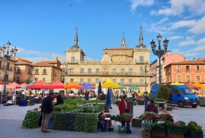 Plaza Mayor Markttag