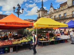 Mercado Plaza Mayor Léon 