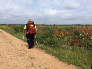 Auf dem Weg nach Hospital de Órbigo 