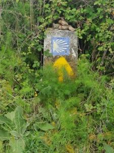  gelber Pfeil und blaue Muschel