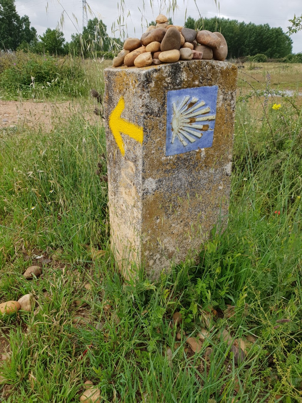 Gelber Pfeil und blaue Muschel