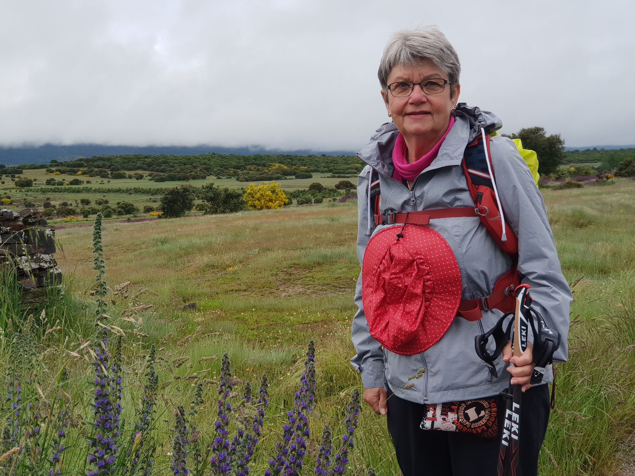 Die Berge im Nebel und in tiefhängenden Wolken