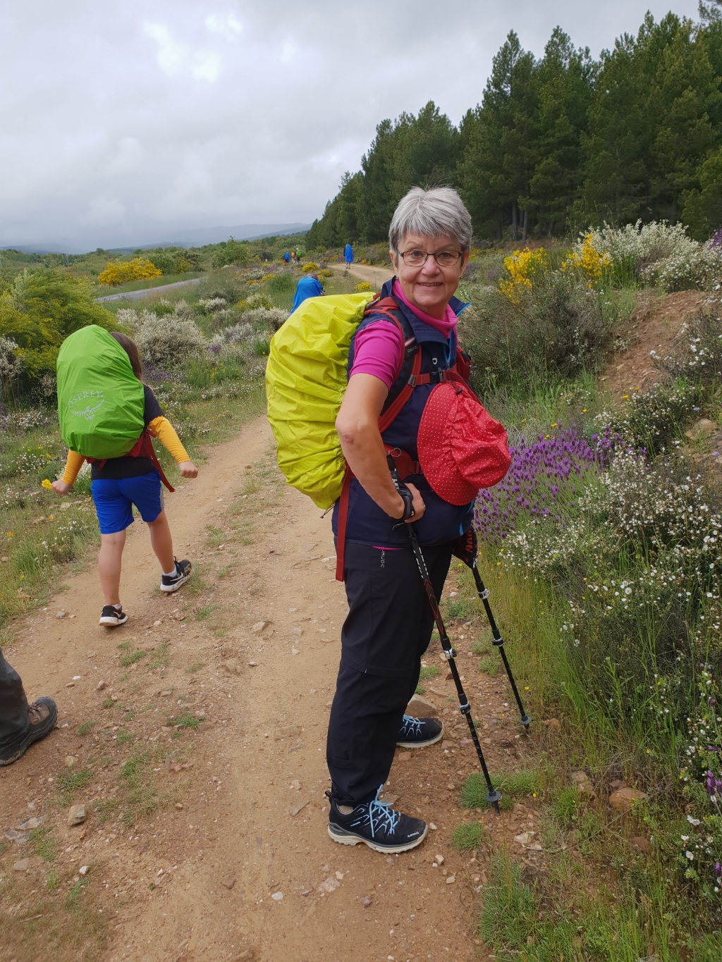 Weg nach Rabanal del Camino