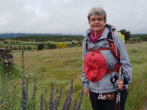 Die Berge im Nebel und in tiefhängenden Wolken