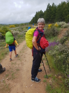 Weg nach Rabanal del Camino 