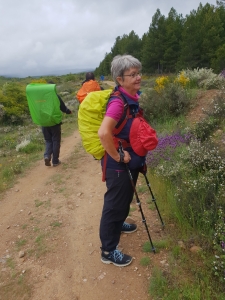 Weg nach Rabanal del Camino 