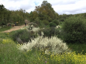 Weg nach Rabanal del Camino 