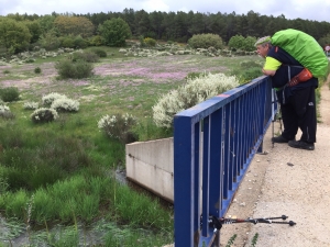 Brücke auf dem Weg nach Rabanal del Camino 