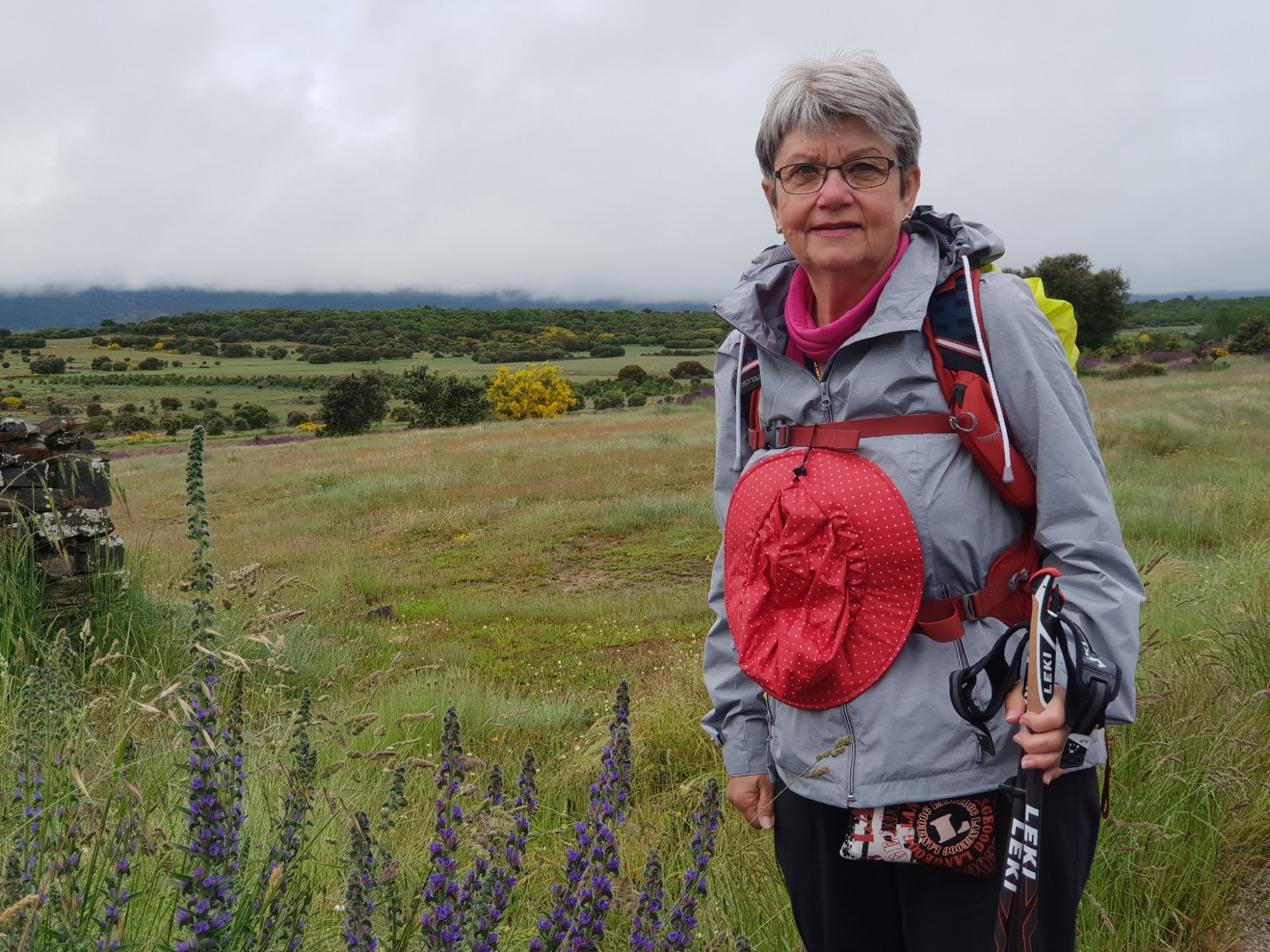 Die Berge im Nebel und in tiefhängenden Wolken