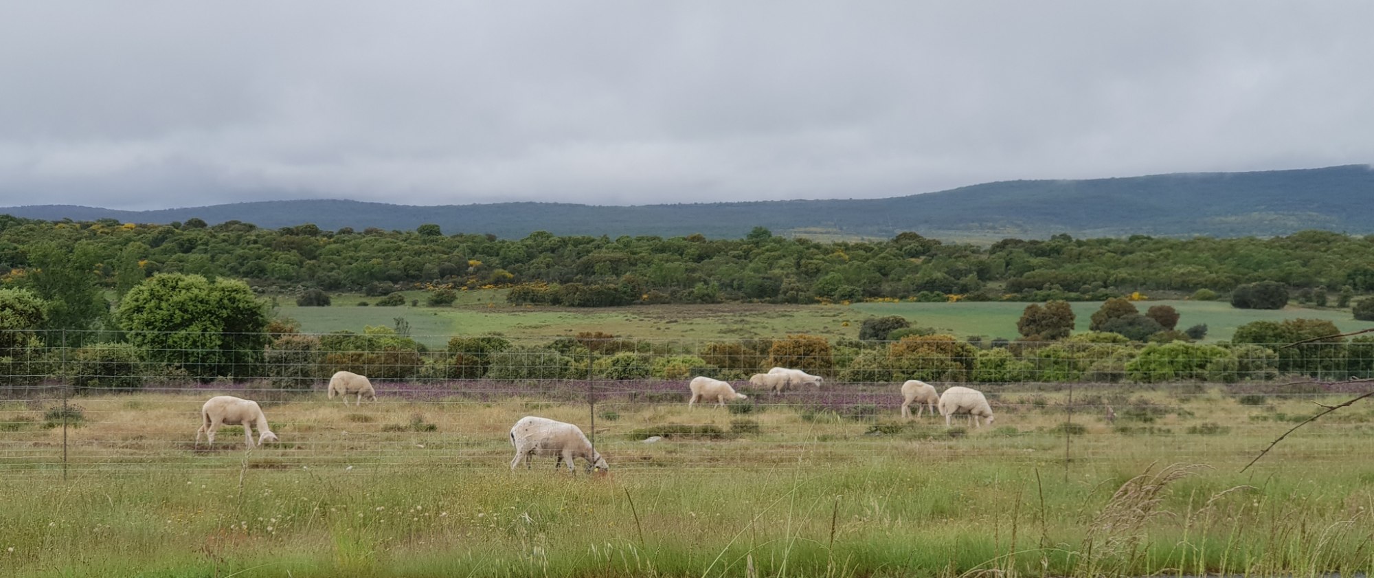 Ausläufer der Montes Léon am Horizont