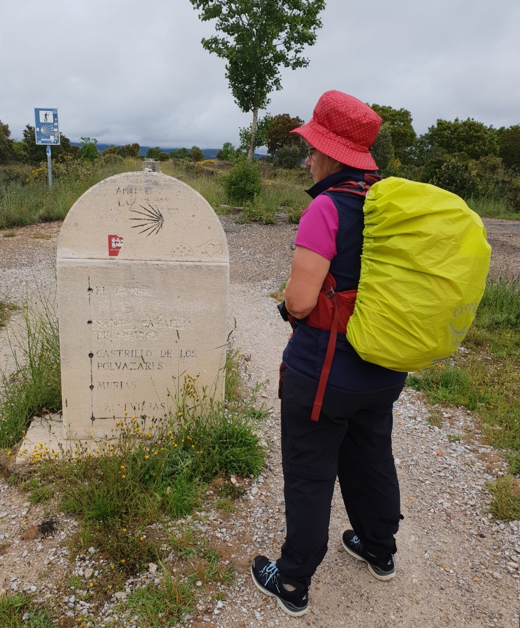 Weg nach Rabanal del Camino