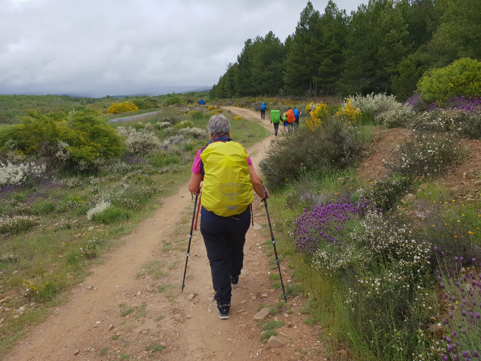 Weg nach Rabanal del Camino