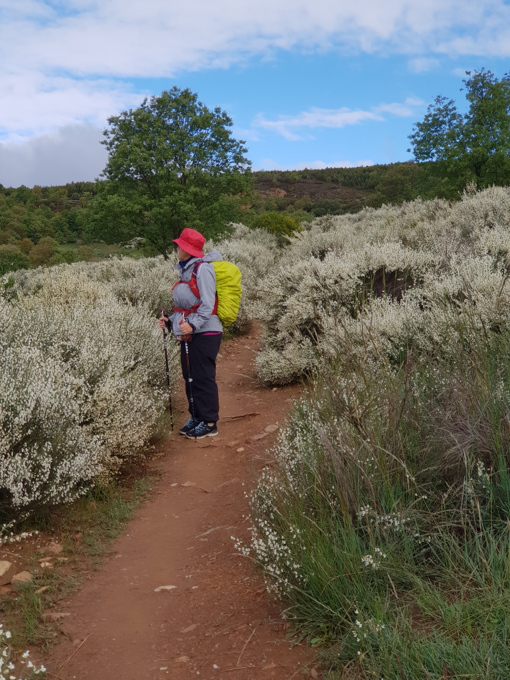 Auf dem Weg nach Foncebadón