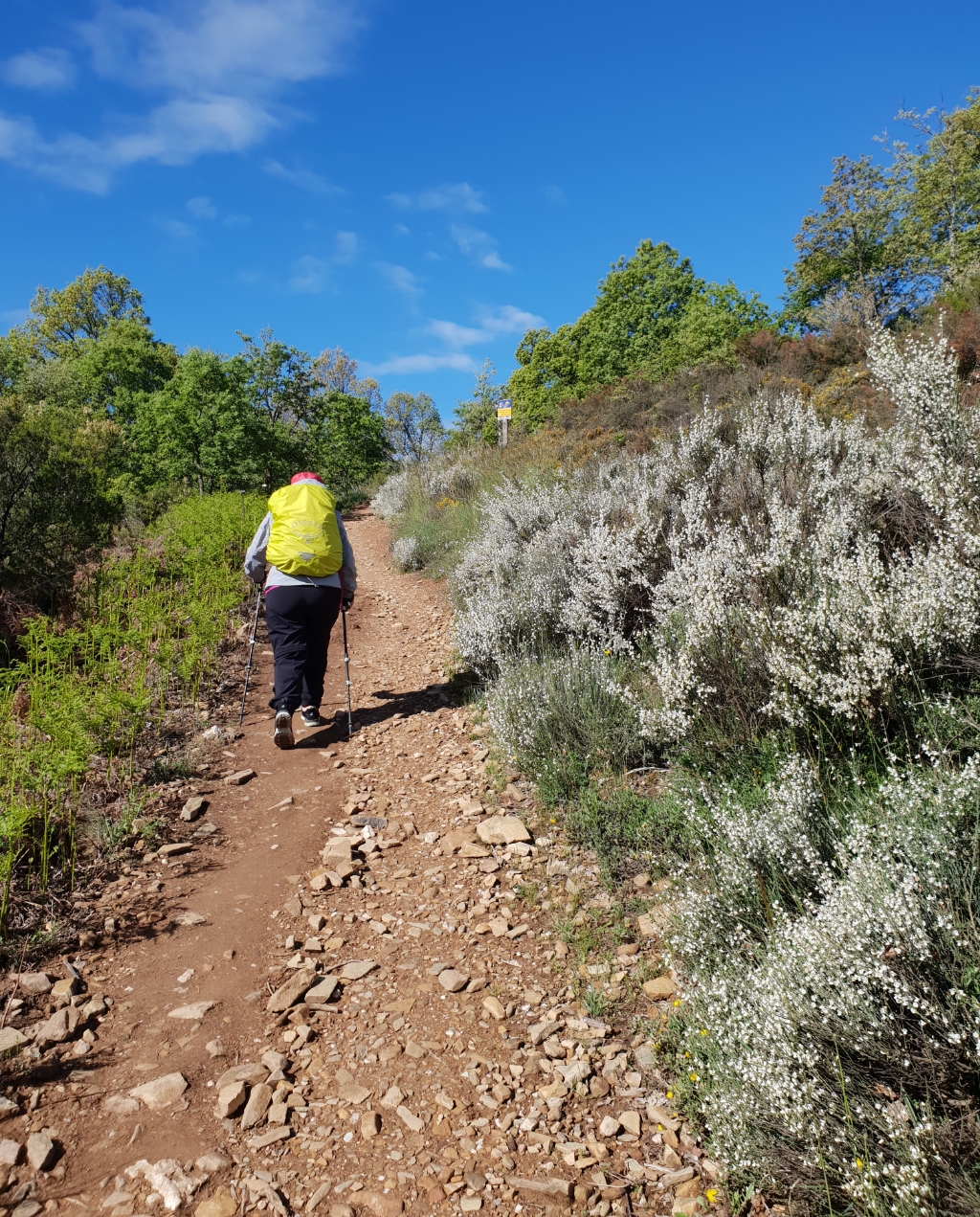 Auf dem Weg nach Foncebadón