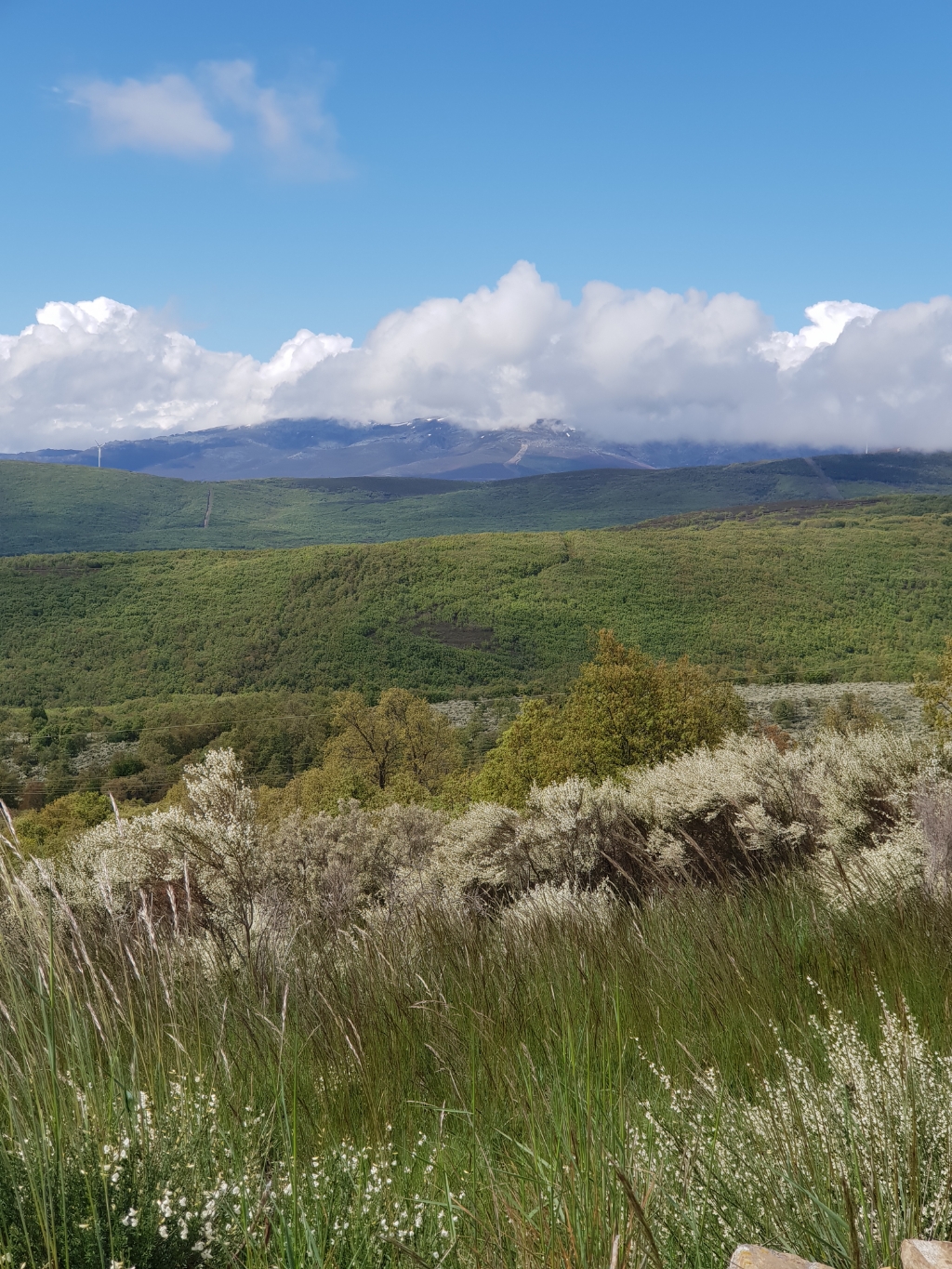 Auf dem Weg nach Foncebadón