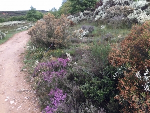 Rabanal del Camino - Foncebadón