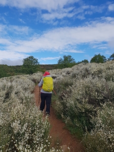 Auf dem Weg nach Foncebadón