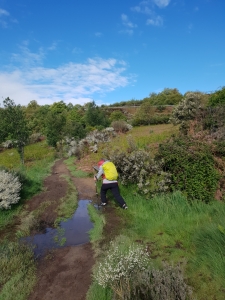 Auf dem Weg nach Foncebadón