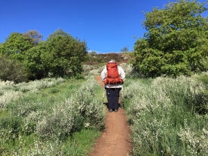 Rabanal del Camino - Foncebadón