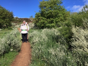 Rabanal del Camino - Foncebadón