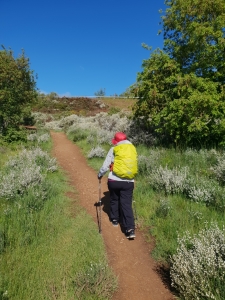 Auf dem Weg nach Foncebadón