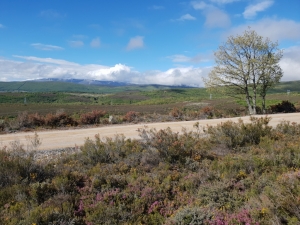 Auf dem Weg nach Foncebadón