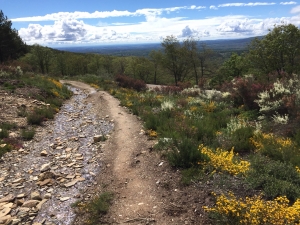 Rabanal del Camino - Foncebadón