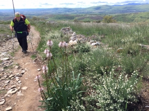 Rabanal del Camino - Foncebadón