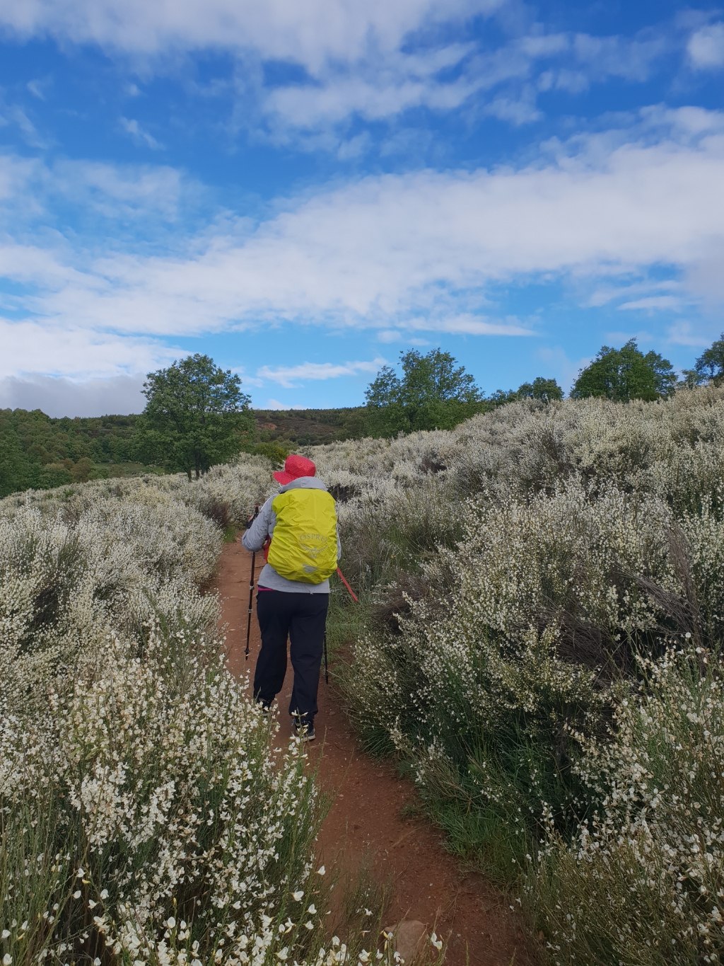 Auf dem Weg nach Foncebadón