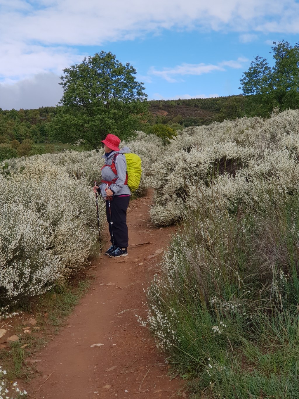Auf dem Weg nach Foncebadón