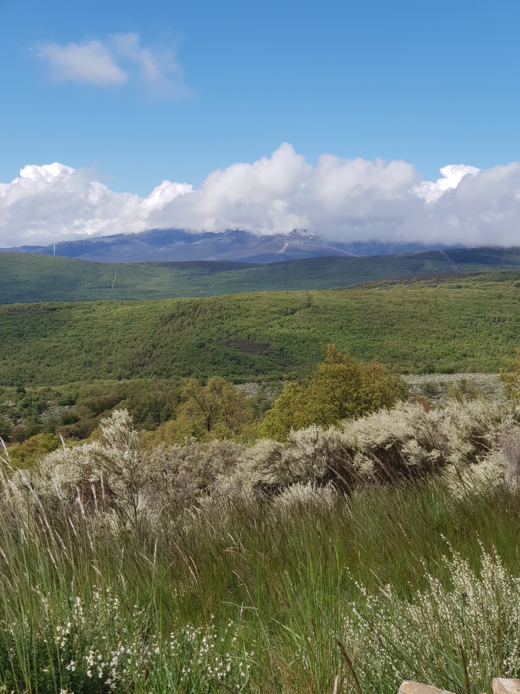 Auf dem Weg nach Foncebadón