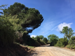 Auf dem Weg nach Ponferrada 
