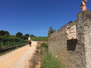 Auf dem.Weg nach h Villafranca 