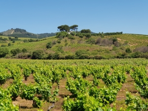 Auf dem Weg nach Villafranca