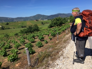 Auf dem Weg nach Villafranca 