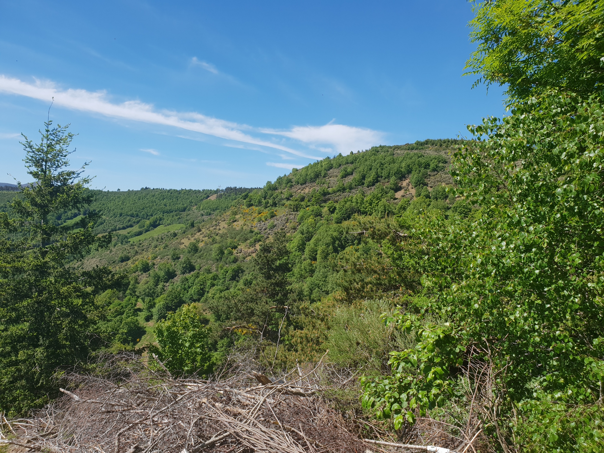 Galicische Berglandschaft