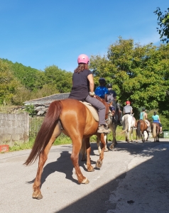 Mit dem Pferd nach Cebreiro