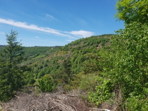 Galicische Berglandschaft 