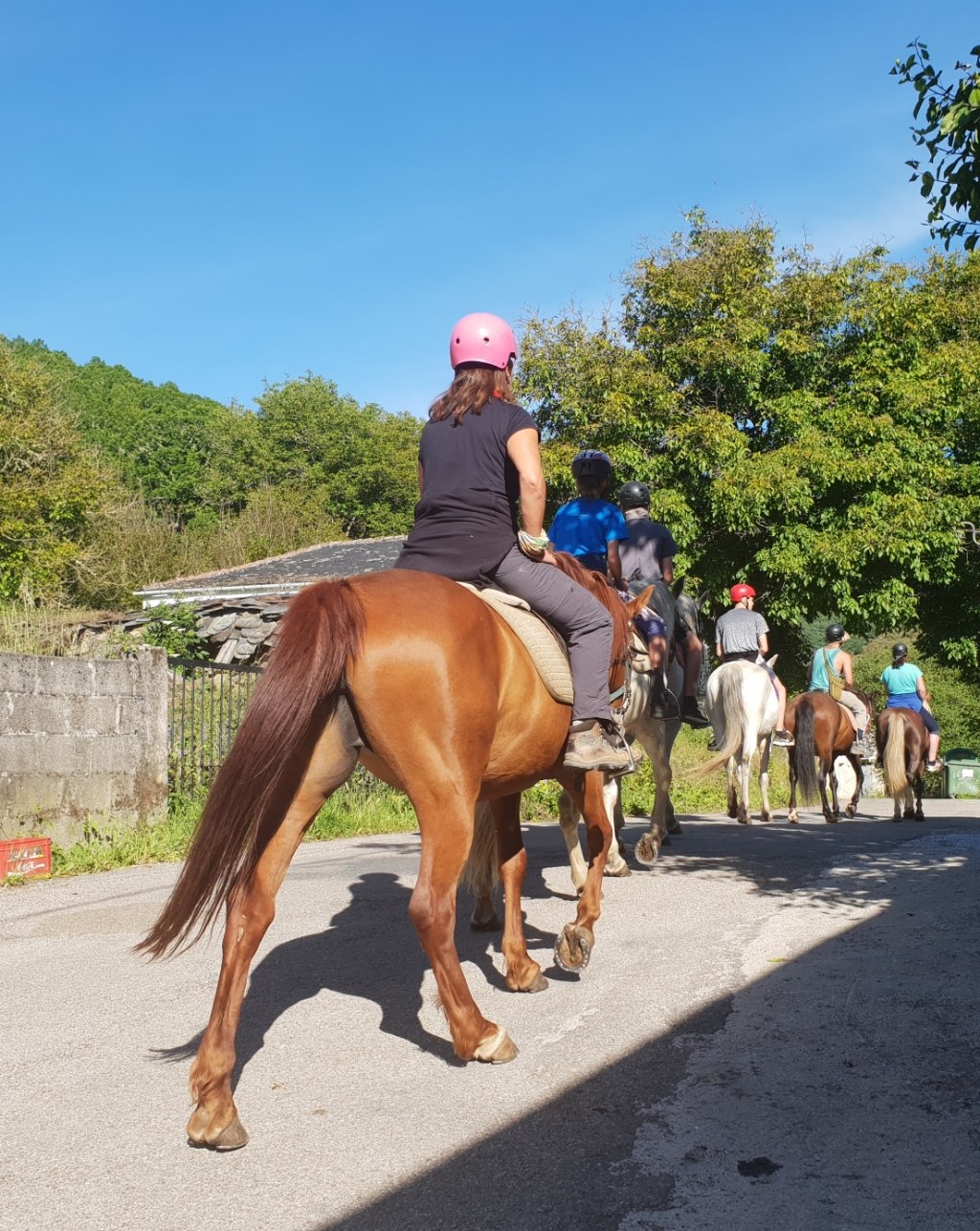 Mit dem Pferd nach Cebreiro
