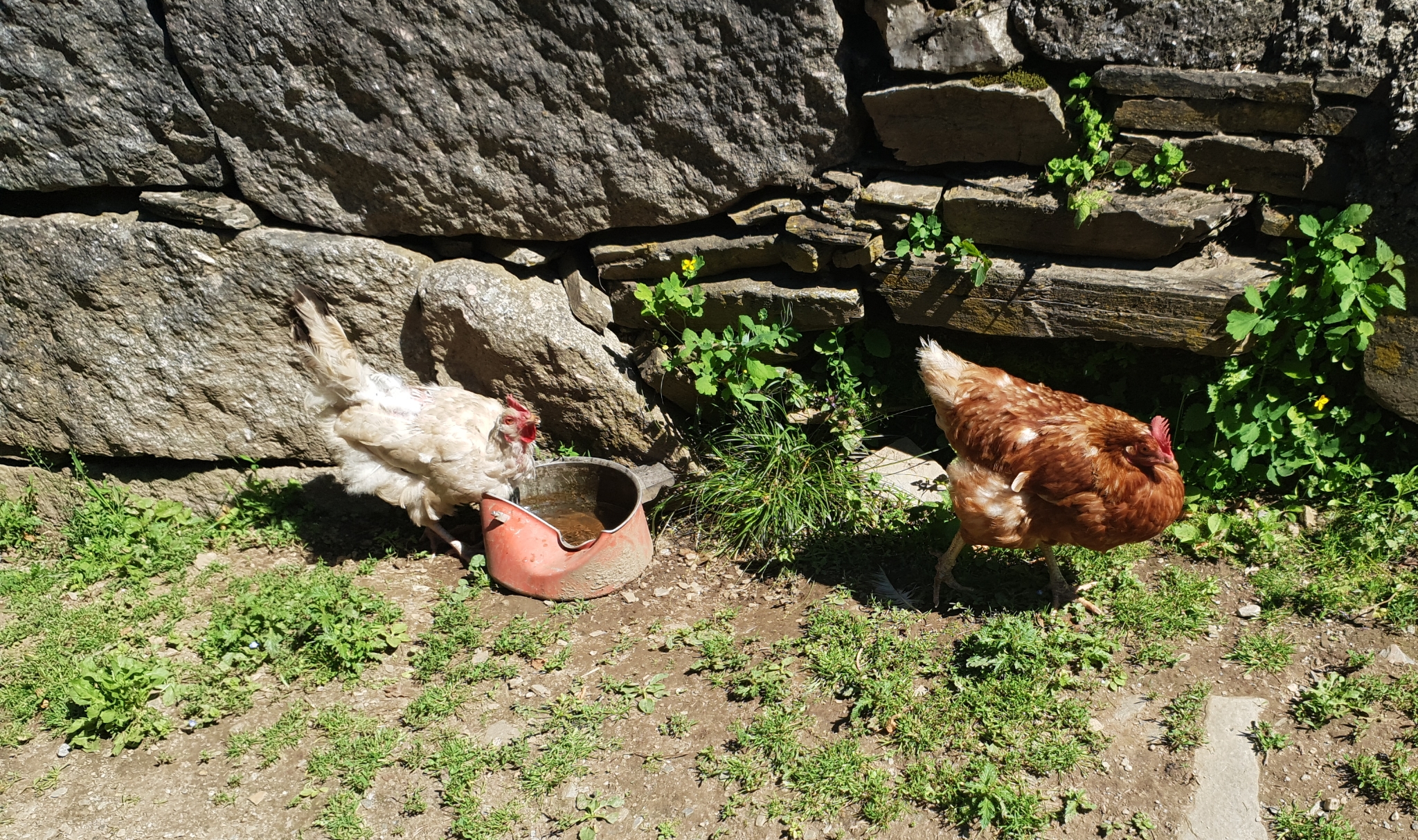 Auf dem Weg nach Samos