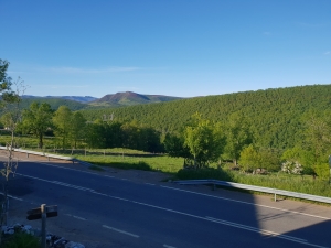 Blick aus dem Zimmerfenster am Sonntagmorgen