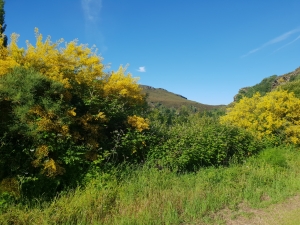 Auf dem Weg nach Samos