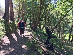 Waldweg Richtung Samos