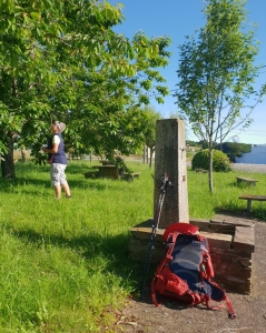 Reife Kirschen am Wegesrand
