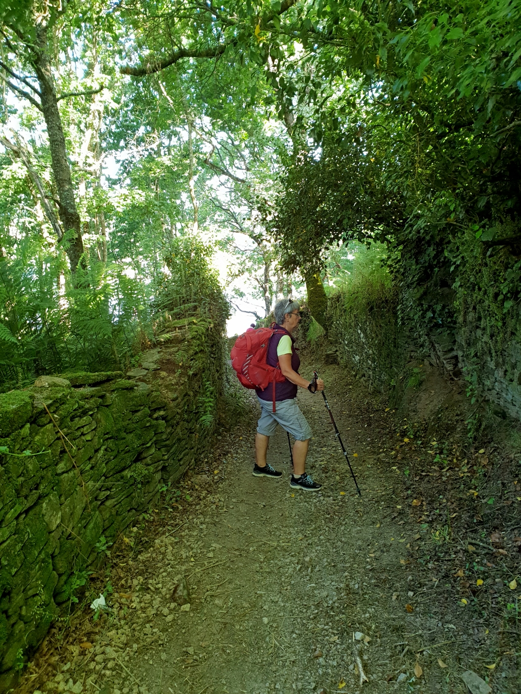 Auf dem Weg nach Portomarin