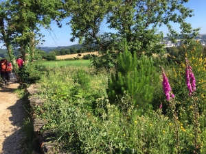 Auf dem Weg nach Portomarin