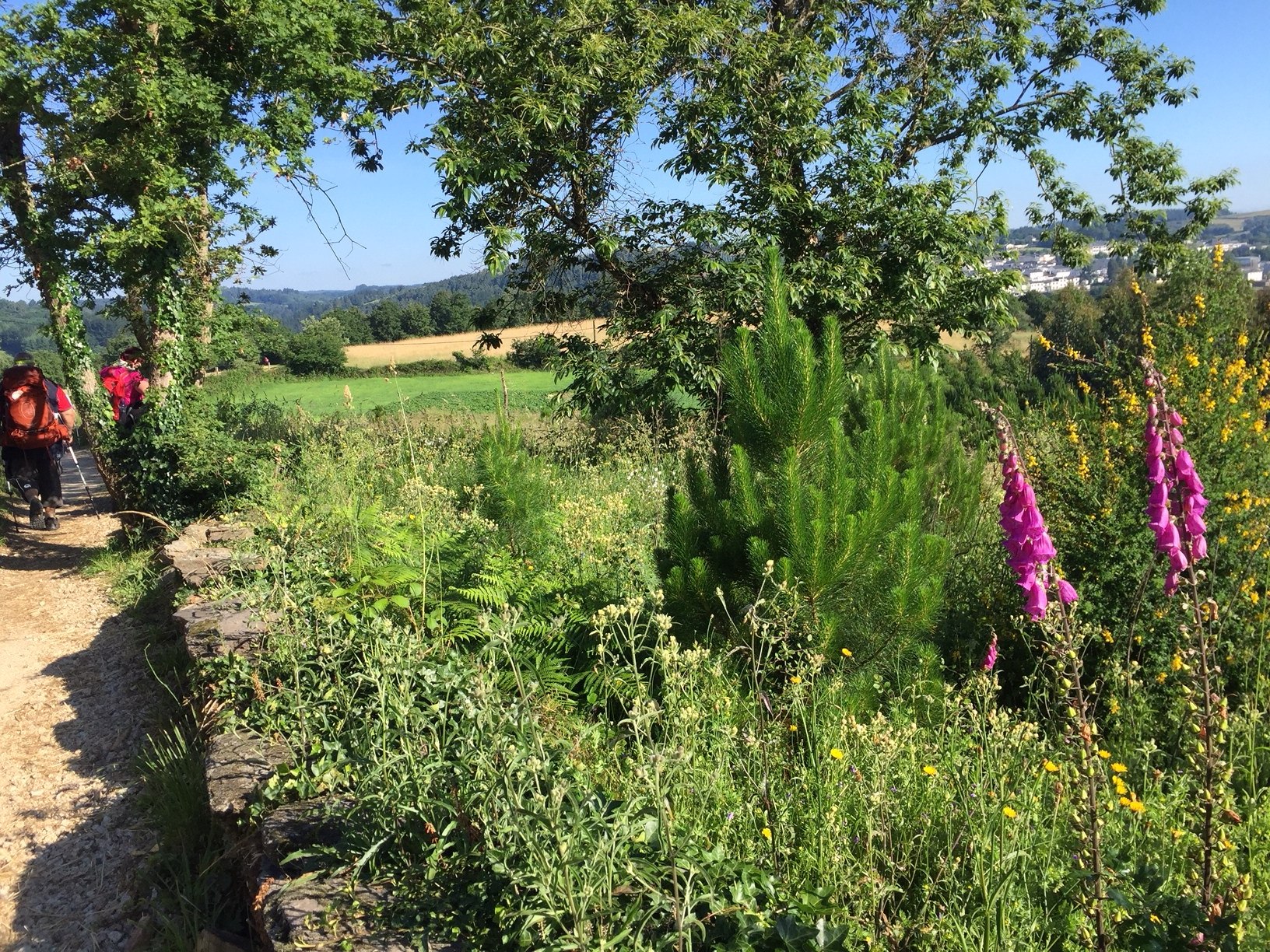 Auf dem Weg nach Portomarin